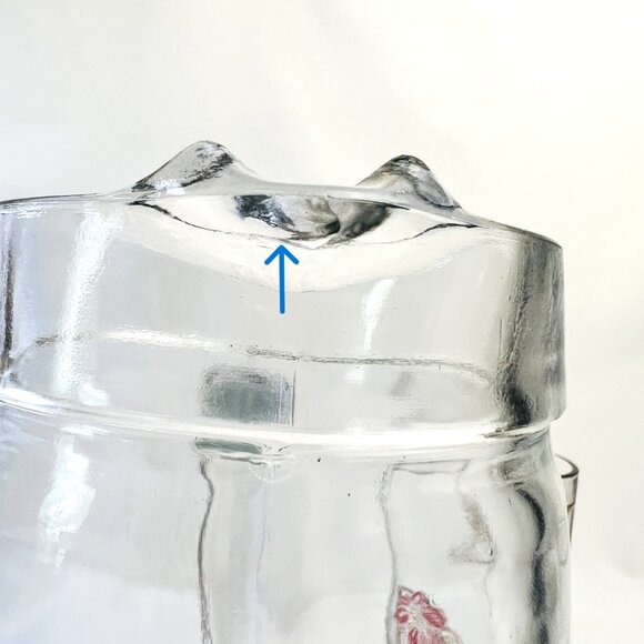 Cerve Devalbor Italy Vintage Glass Juice Pitcher Glasses Rose Pink Floral - Picture 9 of 11